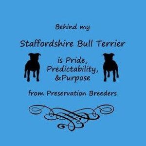 Meet your Posher, Lorelei